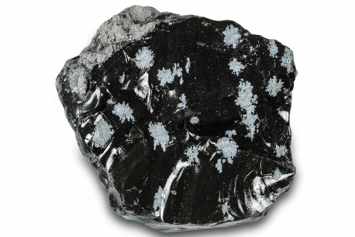 Snowflake Obsidian Section - Utah #300252